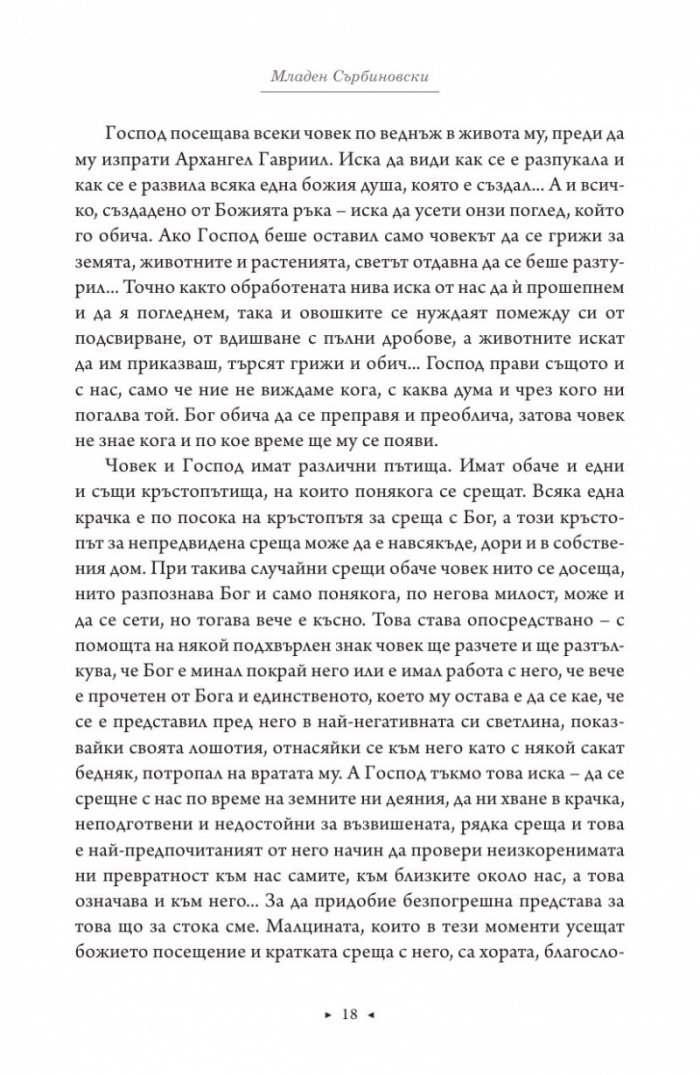 Роман за Майка Тереза