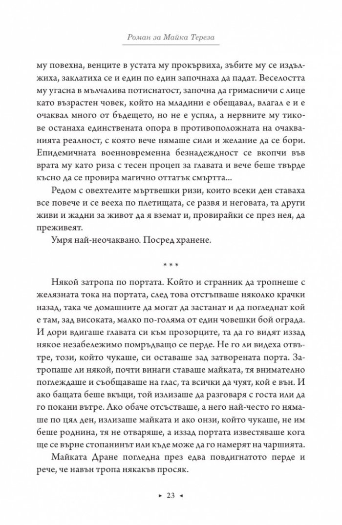 Роман за Майка Тереза