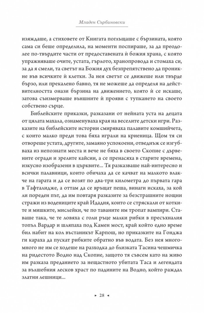 Роман за Майка Тереза