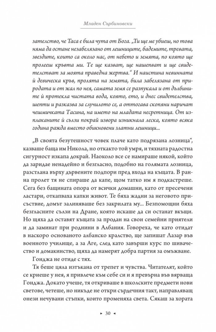 Роман за Майка Тереза