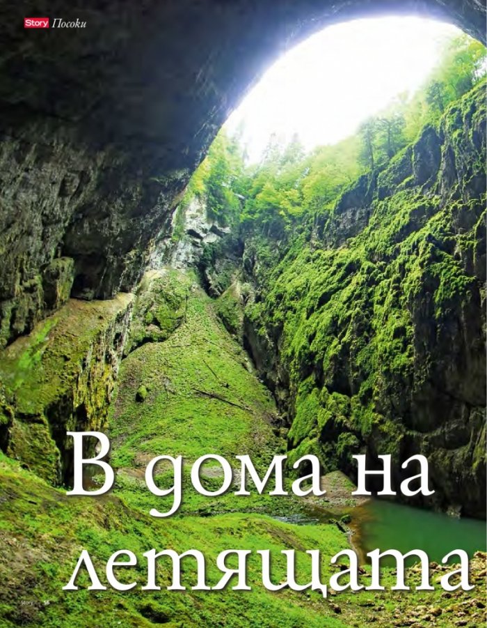 Story; Бр. 15/2015