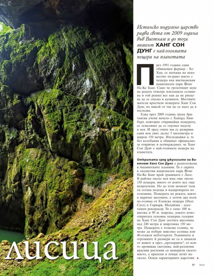 Story; Бр. 15/2015