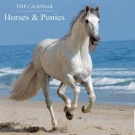 Calendar 2018: Horses & Ponies