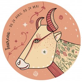Магнит - Телец KIUB