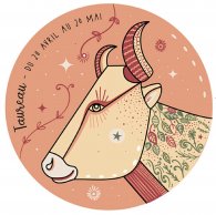 Магнит - Телец KIUB